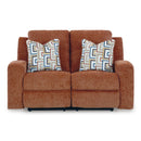  Signature Design by Ashley Danum 3880786C Reclining Loveseat IMAGE 3
