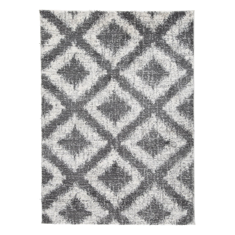 Signature Design by Ashley Rugs Rectangle R404971 IMAGE 1