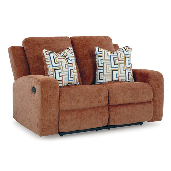 Signature Design by Ashley Danum 3880786 Reclining Loveseat IMAGE 1